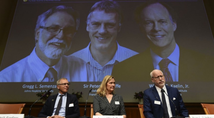 Ganadores del Nobel de Medicina 2019