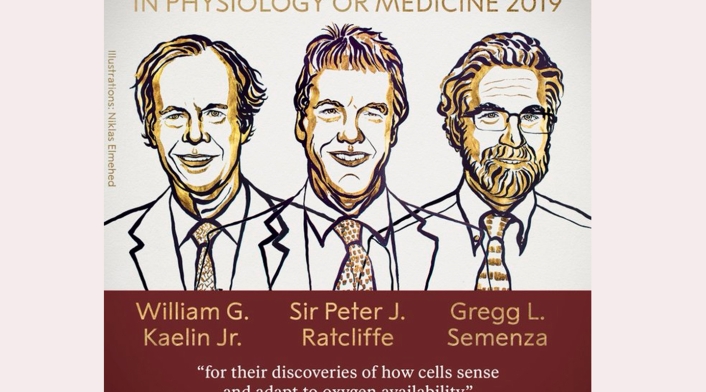William G. Kaelin, Peter J. Ratcliffe y Gregg L. Semenza, ganadores del Premio Nobel de Medicina 2019