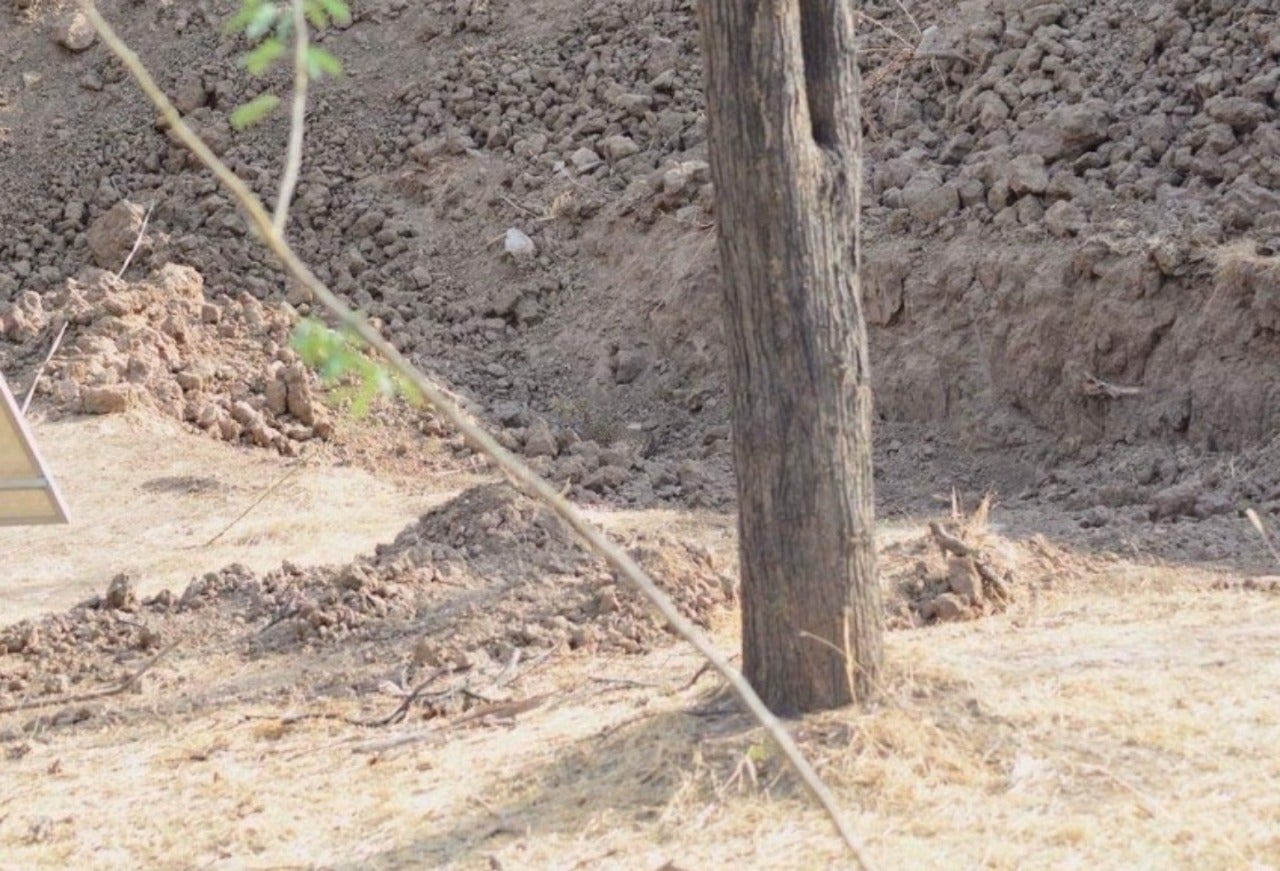 Encontrar al leopardo Encontrar al leopardo