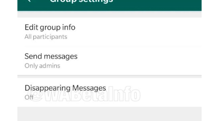 Captura de la nueva función de WhatsApp