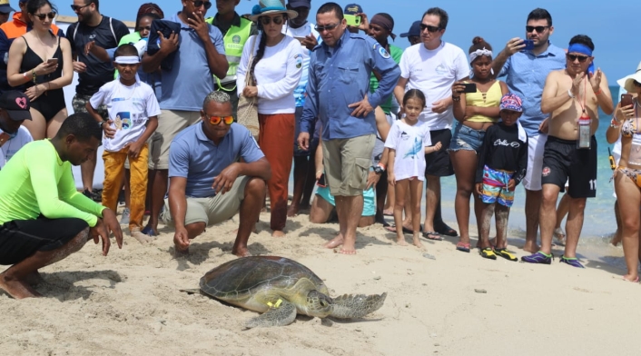 Entre los especímenes liberados está una tortuga tipo Verde y 88 tipo Carey, 63 de ellas recién nacidas.