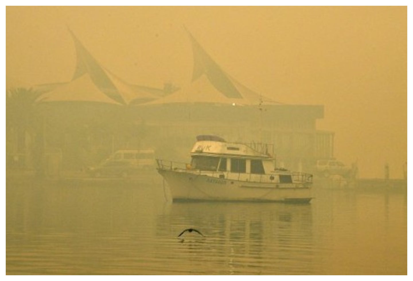 Humo en Sidney