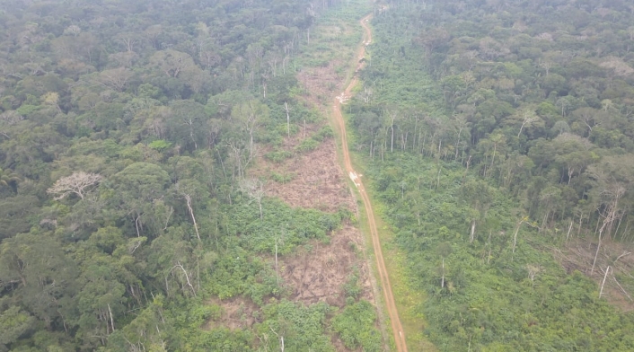 Deforestación Amazonas