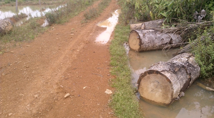 Deforestación en el Amazonas