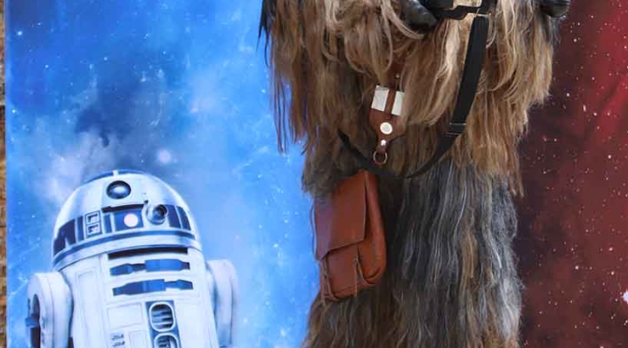 Fans de 'Star Wars Colombia' caracterizados como los personajes de la saga