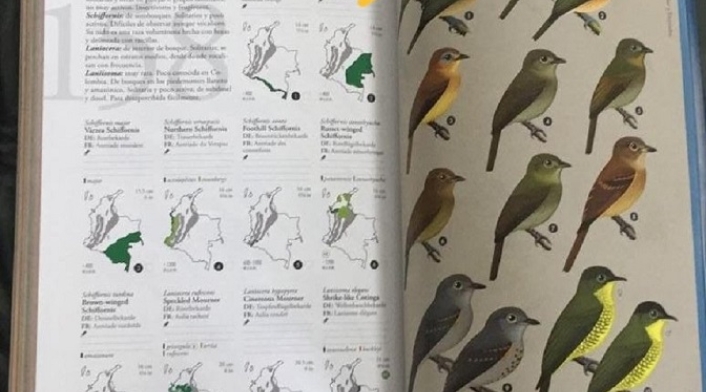 Registro de aves.