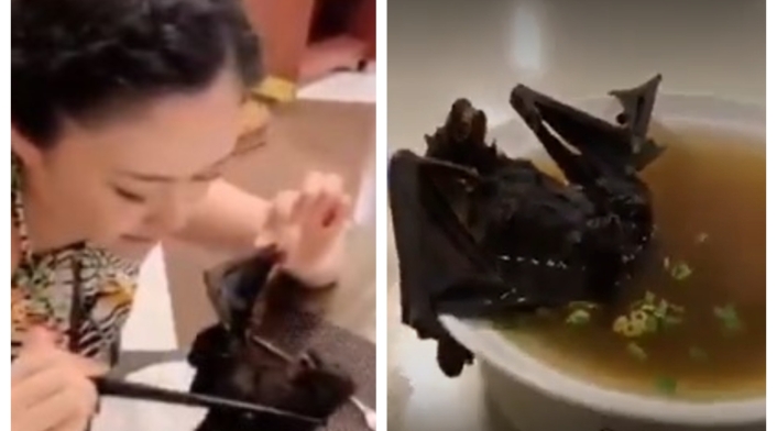 Sopa de muerciélago Sopa de muerciélago
