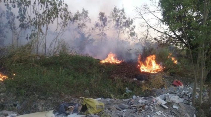 Incendios forestales que amenazan el medio ambiente Incendios forestales
