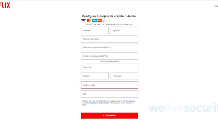 formulario falso Netflix