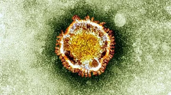 Coronavirus