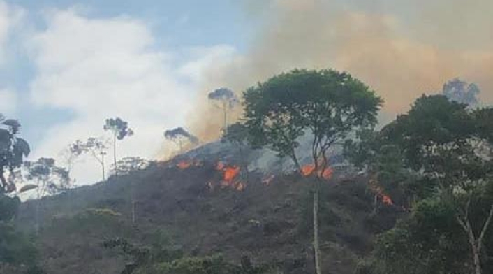 Incendio forestal en el Norte y Nordeste antioqueño.