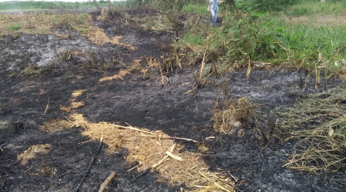 El incendio inició el pasado sábado.