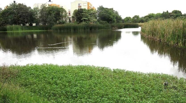 Humedal Santa María del Lago