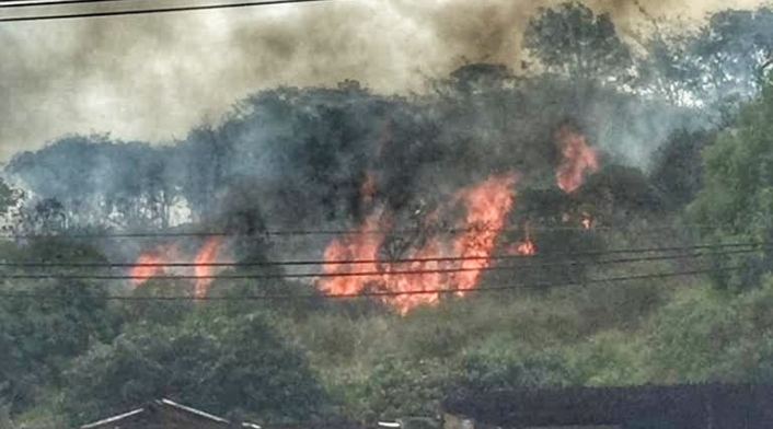 Incendio en el cerro El Volador de Medellín