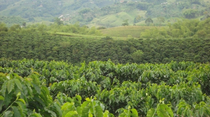 Risaralda