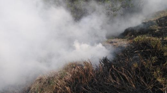 Incendio Forestal