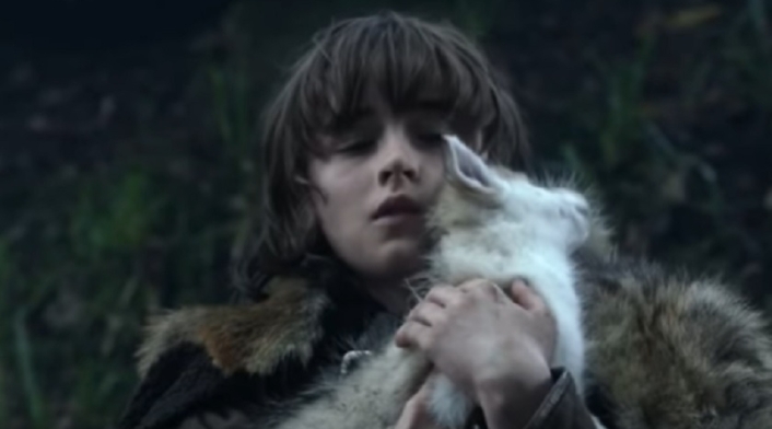 Lobo huargo bebé de Bran Stark (Game of Thrones)
