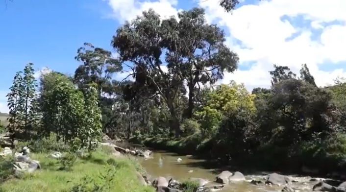 Parque Cantarana