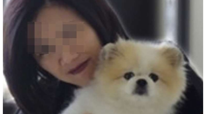 Perro con coronavirus