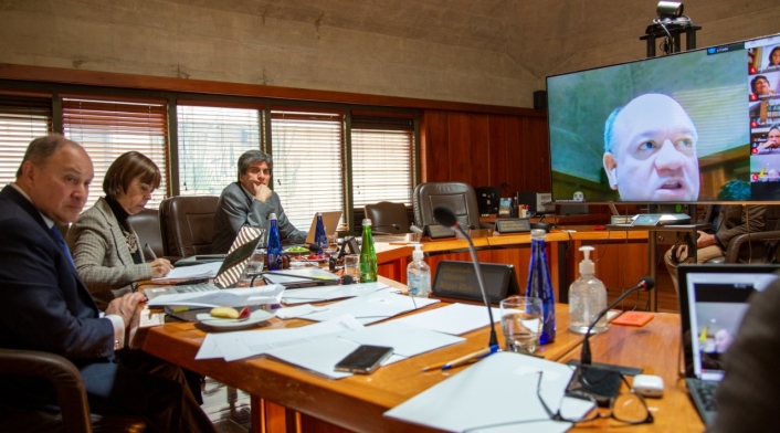 Corte Constitucional en sesión virtual