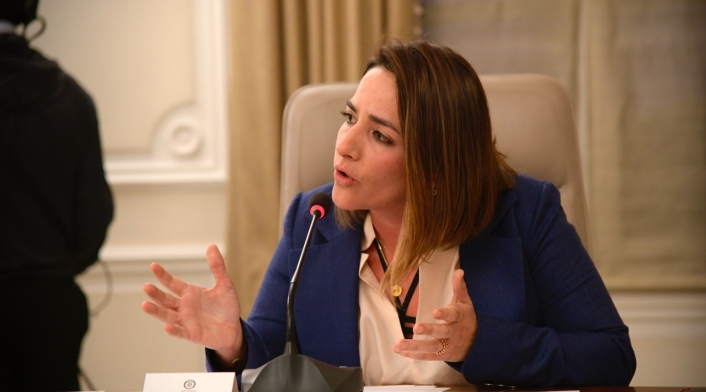 Lina Arbeláez, directora del ICBF