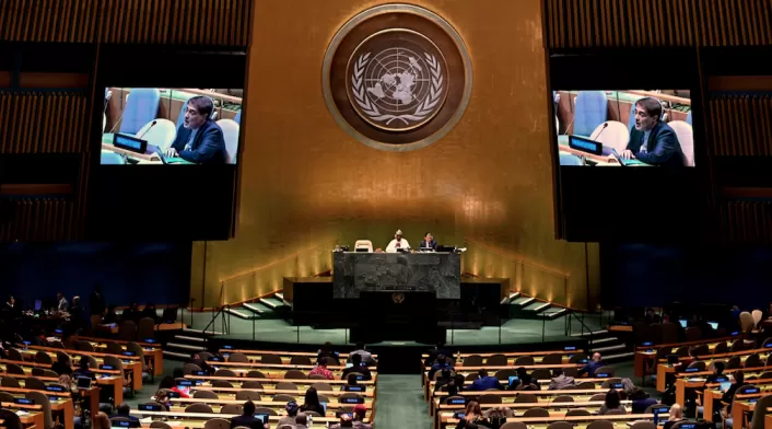 Asamblea ONU