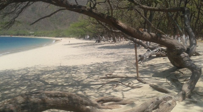 Bahía Concha, Parque Tayrona.