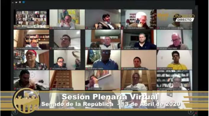 Sesión virtual Congreso
