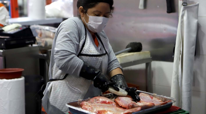 Pescado: ¿El protagonistas en las mesas por Semana Santa?
