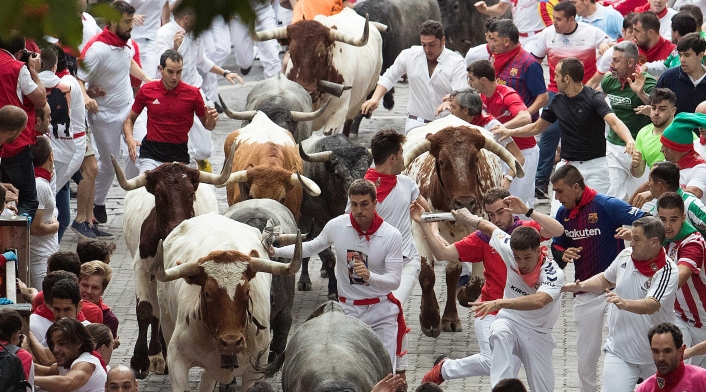 La fiestas de los Sanfermines La fiestas de los Sanfermines