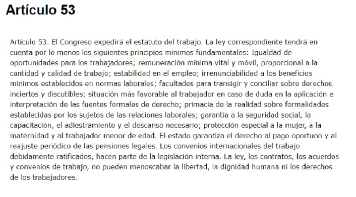 Artículo 53