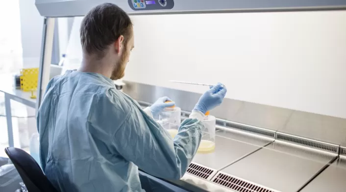 Ensayo de vacuna contra coronavirus