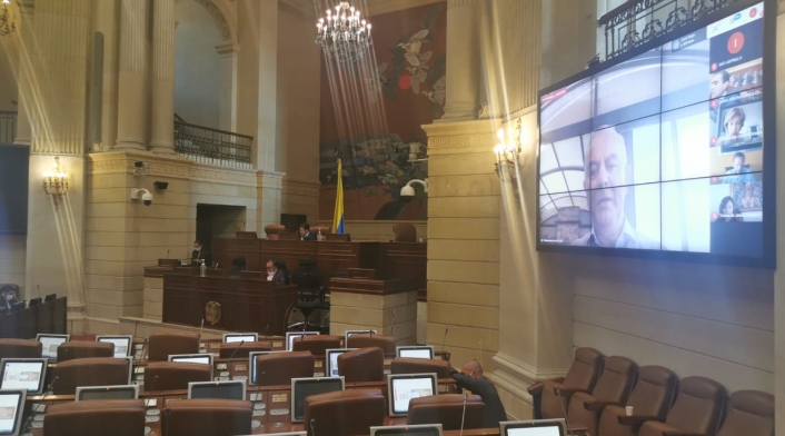 Primera plenaria de la Cámara de Representantes de manera virtual