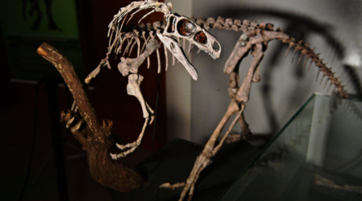 Dinosaurio