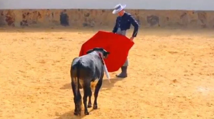 CORRIDAS DE TOROS