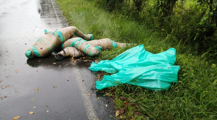 Cuerpos en carretera Cuerpos en carretera
