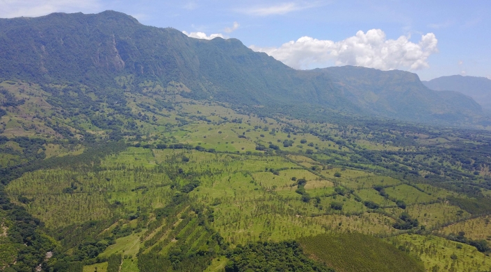 En este terreno se iba a construir el ecoparque.
