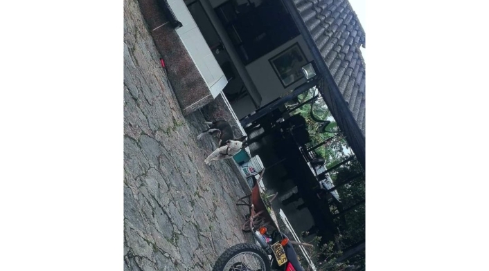 Finca en Tena, donde se registró el robo