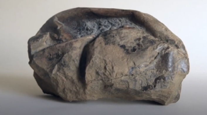 Misterioso fósil hallado en la Antártida es un gigante huevo prehistórico