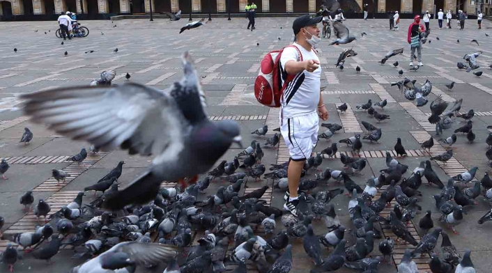 Palomas en la Plaza de Bolívar