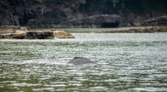 Turismo de Naturaleza en la Amazonia.