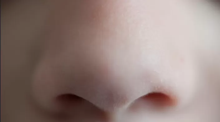 Olfato