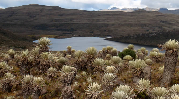 Páramo de Sumapaz