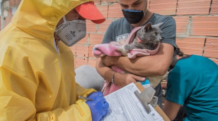 Más de 1.000 perros y gatos han sido salvados en Bogotá