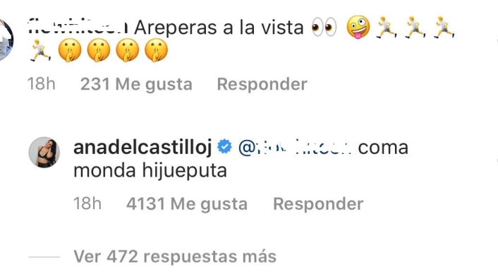 Captura del Instagram de Ana del Castillo