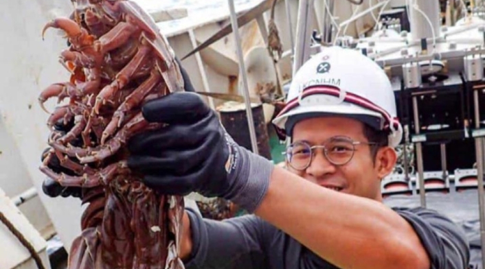 Descubren cucaracha gigante en el fondo del mar