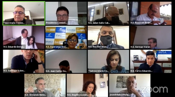 Sesión virtual Comisión Primera