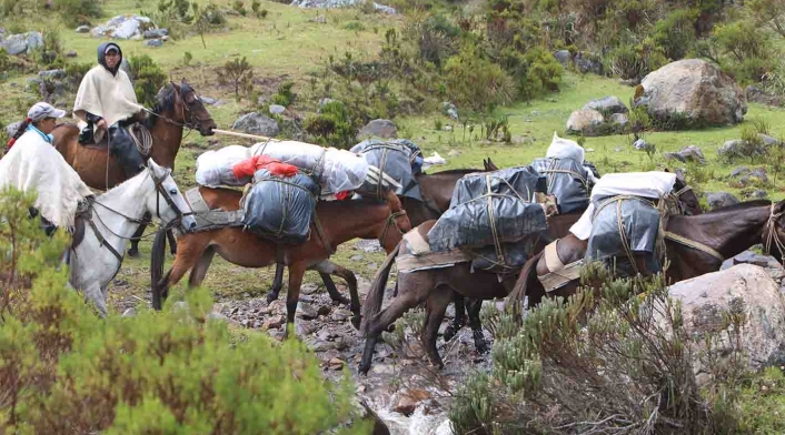 Conflicto en el Meta