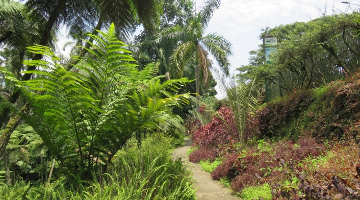 Jardín Botánico del Quindío.