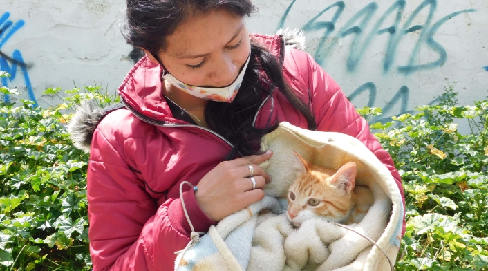 Jornada de esterilización de animales (perros y gatos) Jornada de esterilización de animales (perros y gatos)